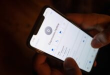 hotline number for support