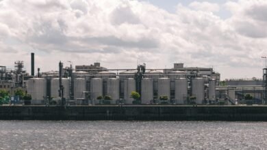 renewable energy stock profits