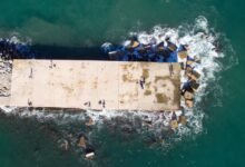 gambling platform insights shared