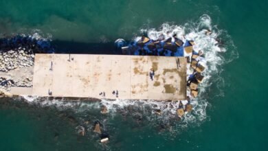 gambling platform insights shared