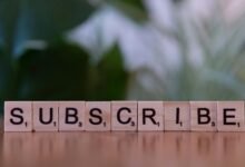 native brand legal issues