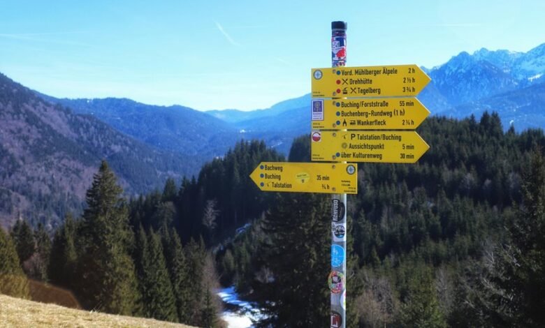 nightshade paralysis overview guide