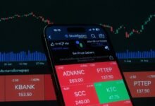 platform insights overview highlights