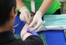 qualia collection services overview