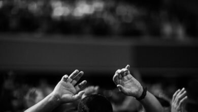 service performance ledger overview