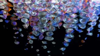 apex fusion beam model