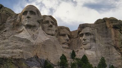 digital growth strategy insights