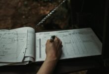 dkdltmvod alerts documentation online