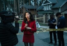 investigation report public details