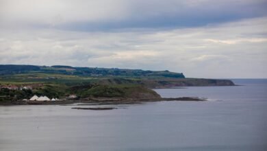 limitless edge conversion expansion