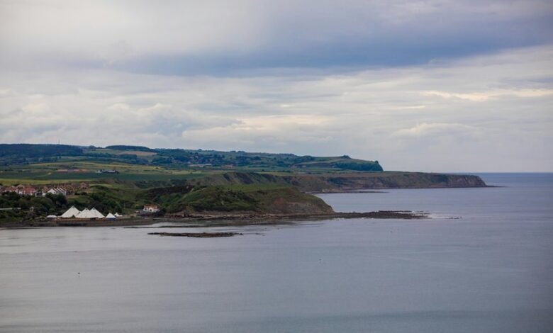 limitless edge conversion expansion