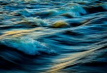 market analysis for stellar