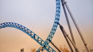 momentum support contact information