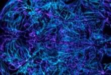 quantum neural beam technology