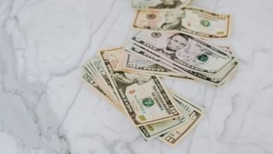 stellar flow profit bridge