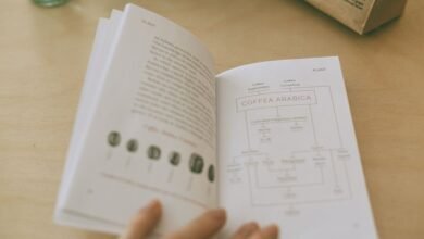 complete guide clarifies zasduspapkilaz