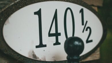 numbers reveal a mysterious identifier
