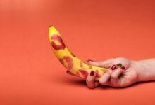 sex education basics for beginners