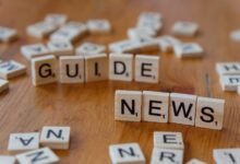 what is julietxxpanda guide
